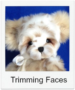 Trimming Teddy Bear Faces