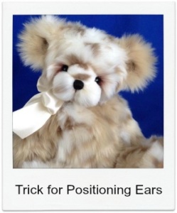 Tip for Positioning the Ears